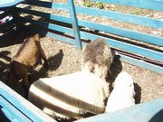 Celodenní výlet na Bezděz title=